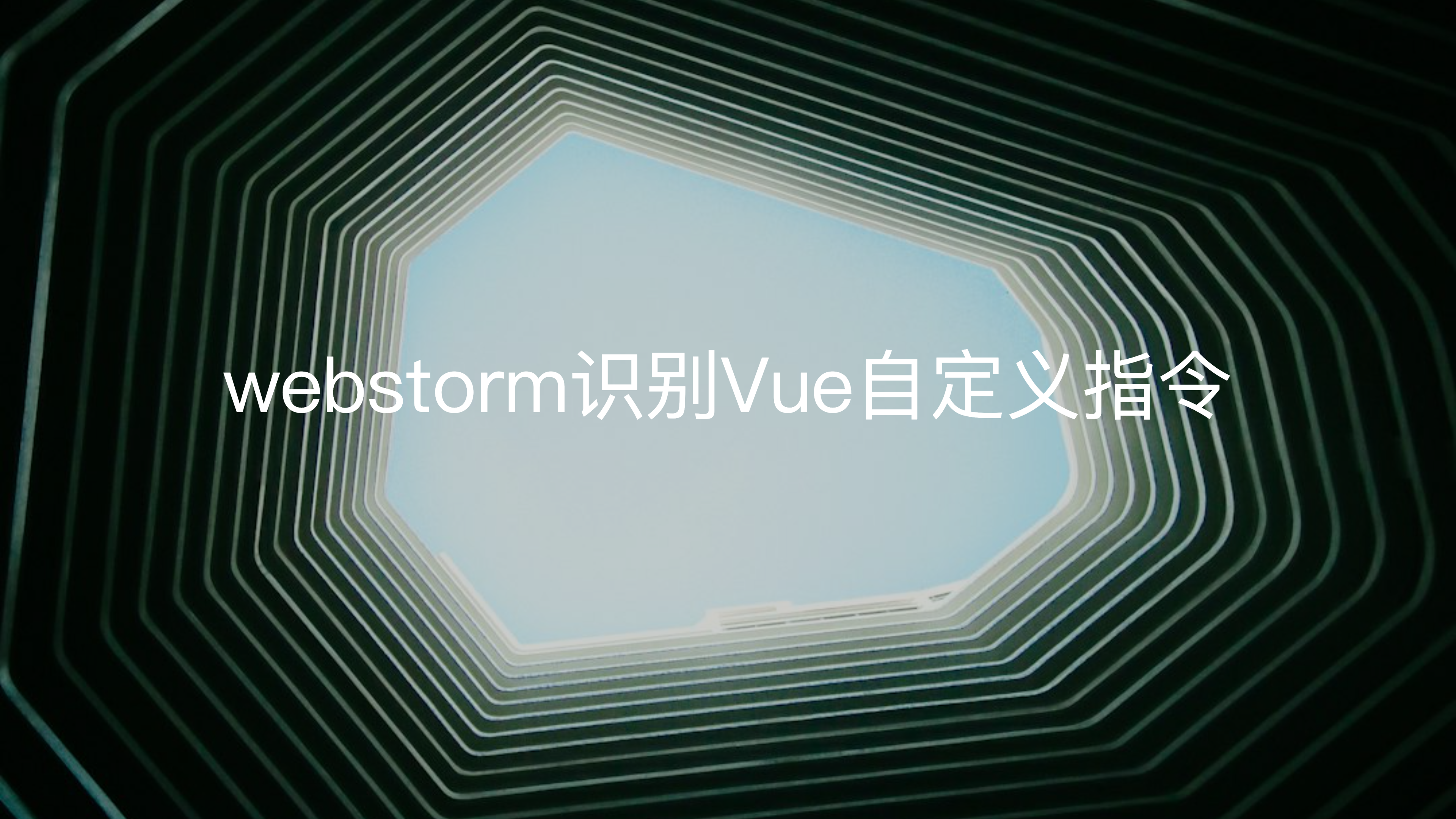 webstorm识别Vue自定义指令